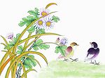 花鸟国画