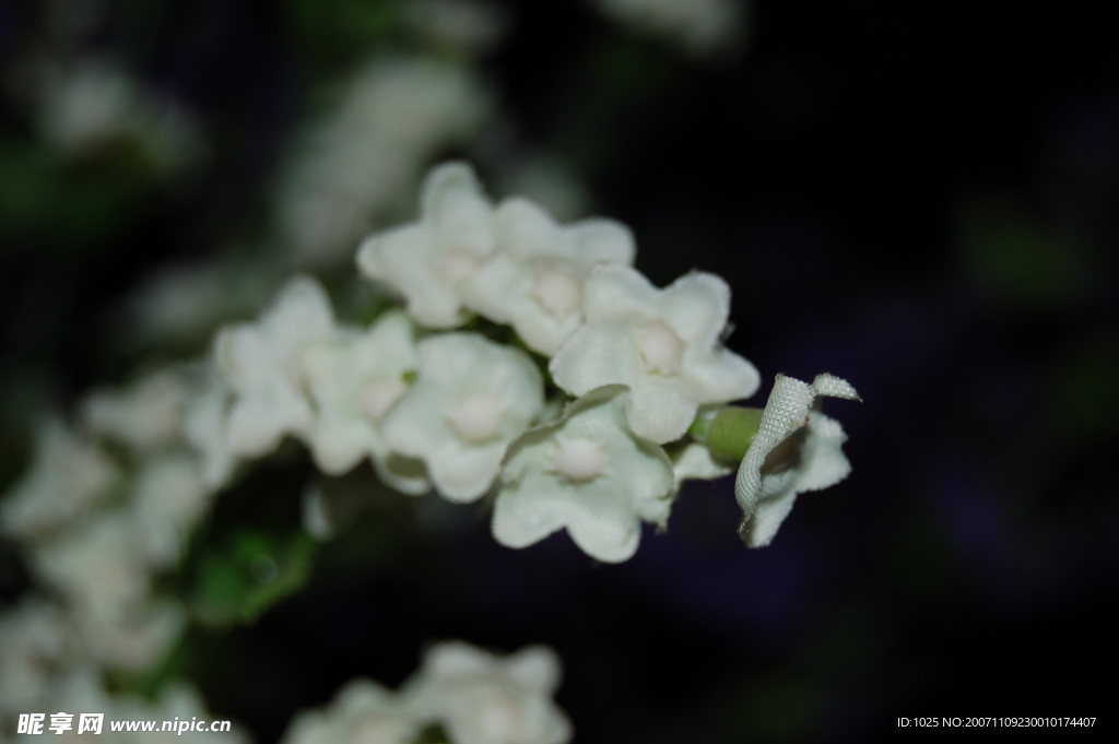 人工花卉
