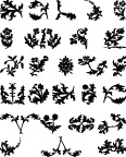 花纹
