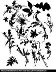 底纹