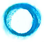 墨染