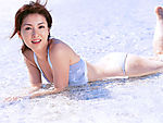 壁纸