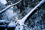 雪景