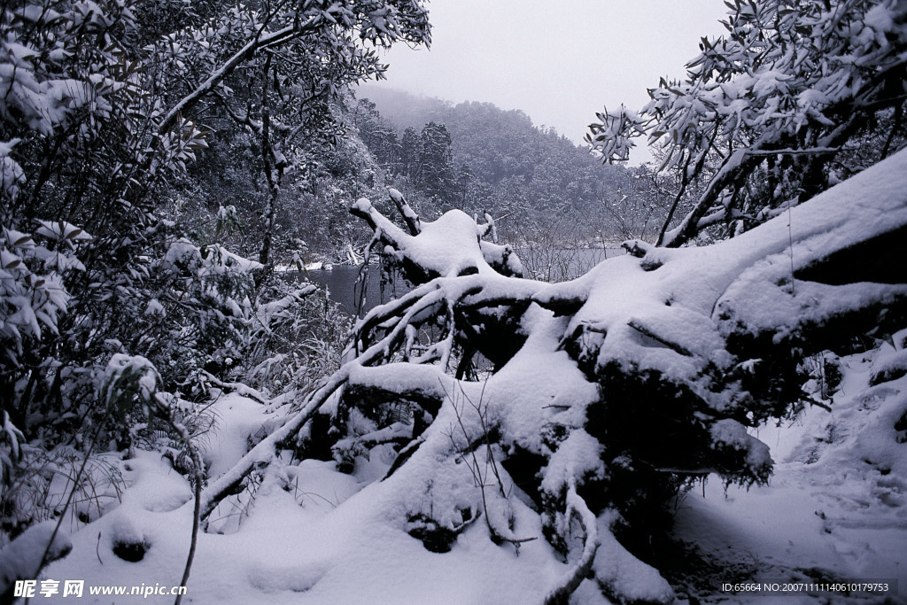 雪景