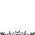 花纹花边