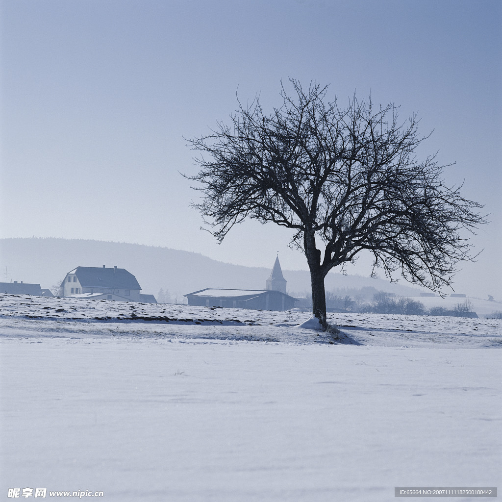 雪景