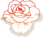 韩国精美花草图案矢量