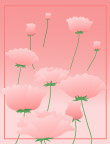 韩国花纹