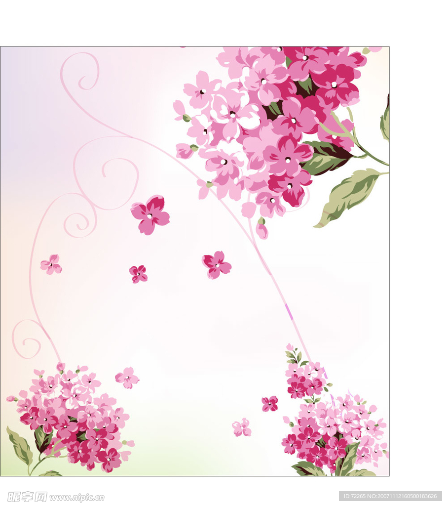花束