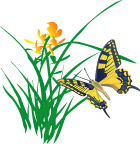 精美的花纹