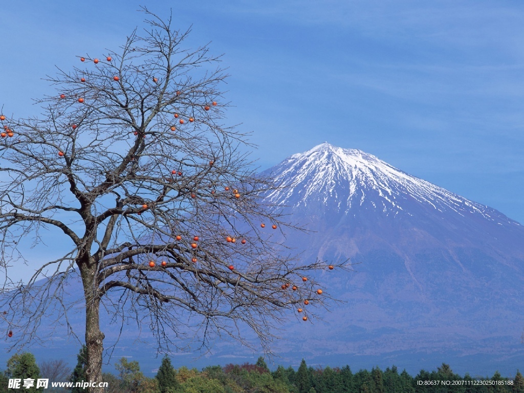 日本富士山