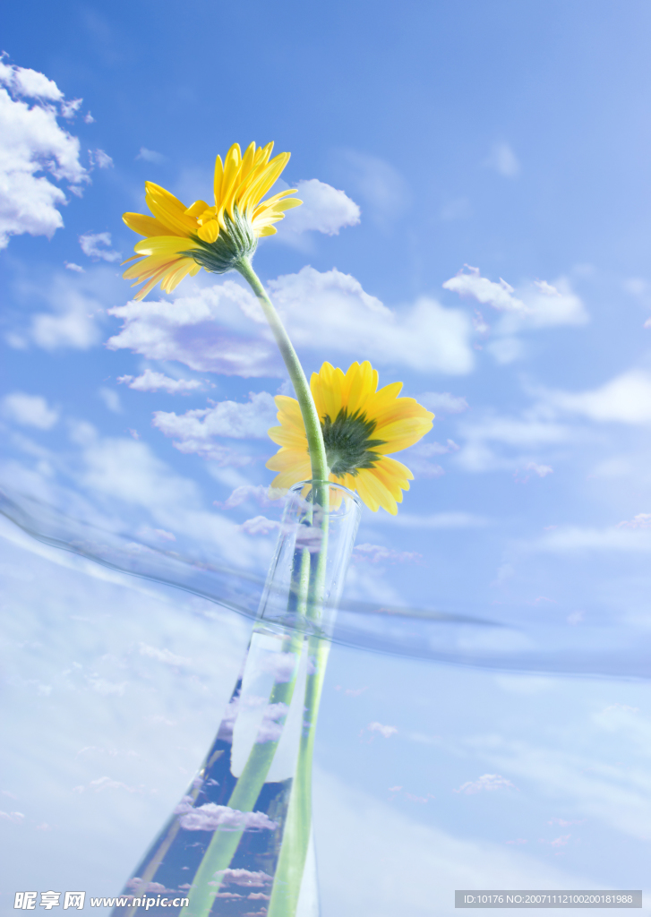 清新
