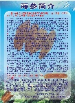 海参宣传单张