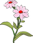 传统花卉3
