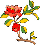 传统花卉7