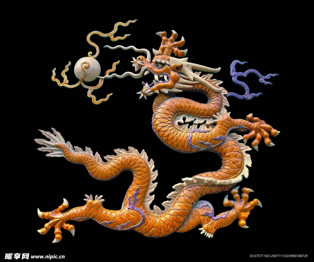 龙