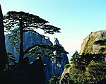 山