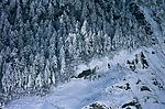 精品底纹素材-冬天雪景