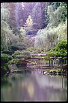 高清 山水 摄影 风光
