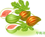 矢量
