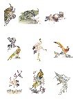 国画鸟类系列