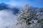 精品底纹素材-冬天雪景