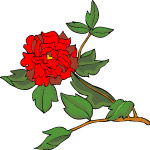 传统花卉22