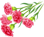 矢量花纹图案