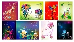 花纹花边