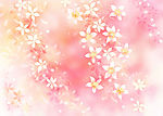 碎花