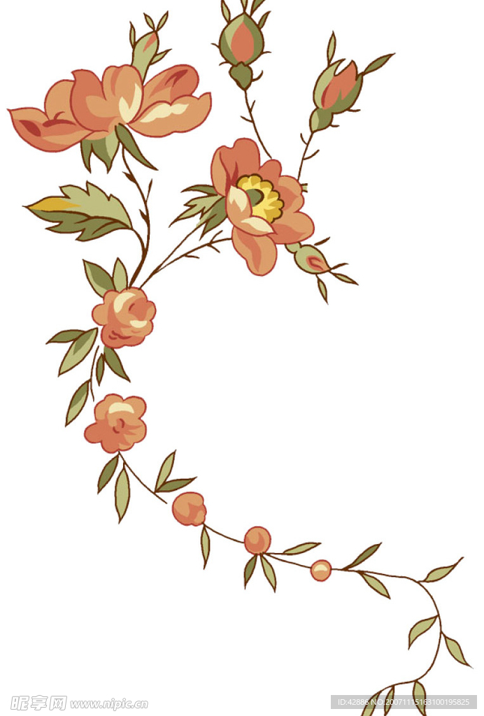 PSD花纹花边