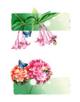 蝶恋花