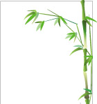 植物花卉