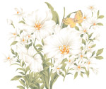 PSD花