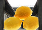 趣味水果