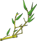 传统树木6