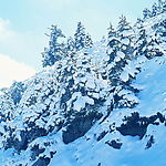 冬天雪景