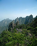山