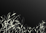时尚花纹