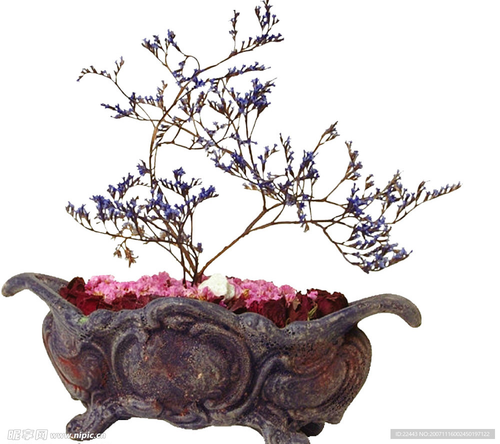 盆栽花卉