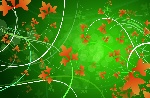 时尚花纹