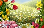 花纹 分层 字体 韩国 素材 设计 经典 漂亮 唯美