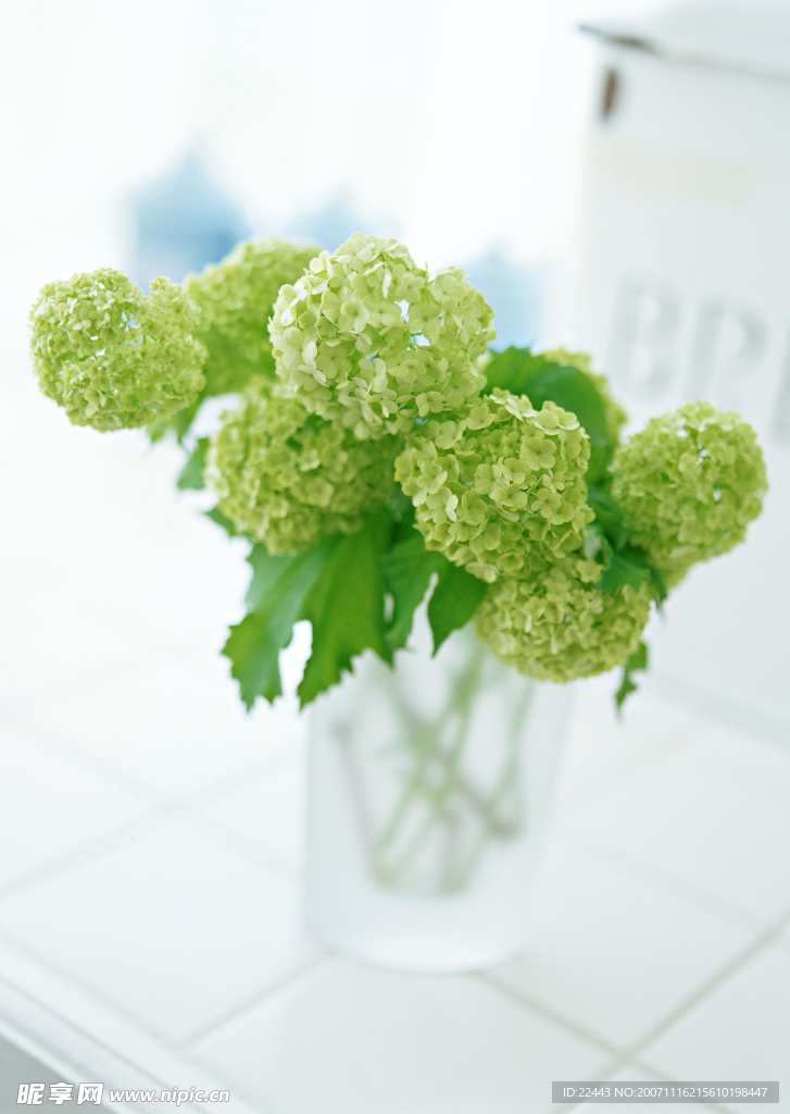 插花艺术
