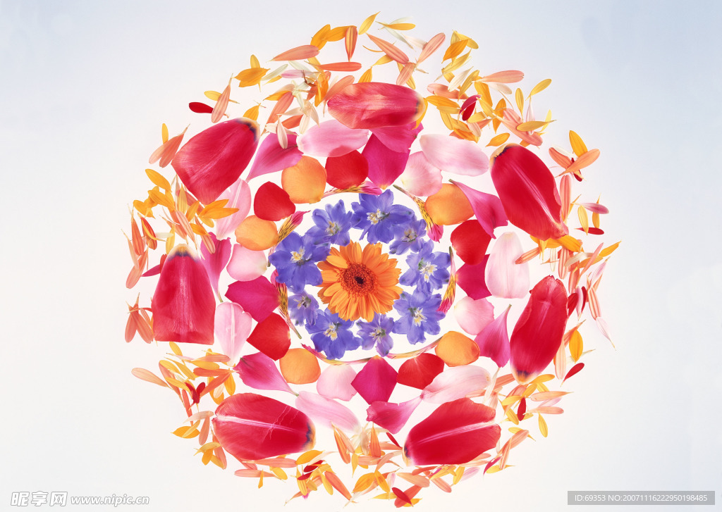花的艺术07