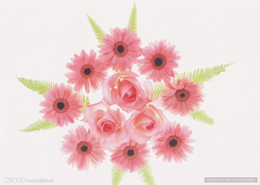 花的艺术09
