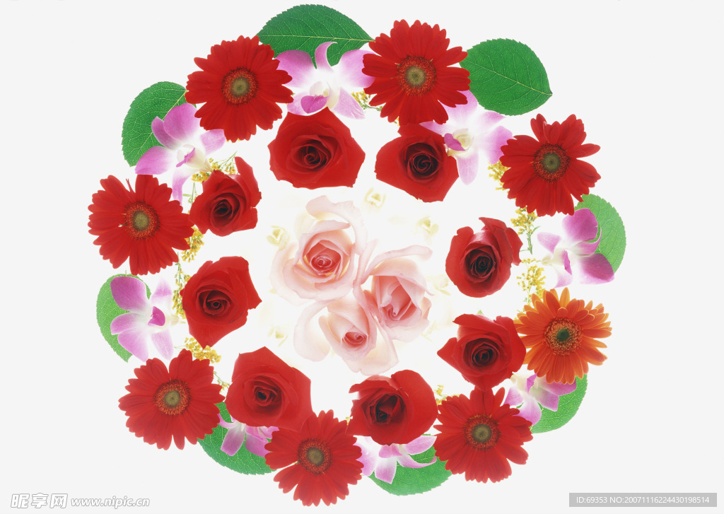 花的艺术13