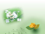 温馨时刻 照片模版