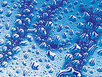 水