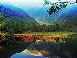 梦幻风景