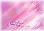 新婚纱摄影模板